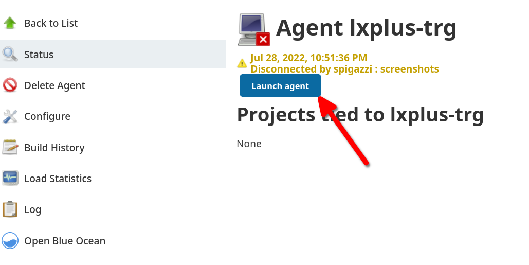 Launch lxplus-trg agent